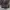 Porter Yoshida Streetwear Casual Bag Pria multicolor photo 8
