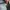 Porter Yoshida Streetwear Casual Bag Pria multicolor photo 6
