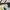 Adidas Casual Sneakers Pria Multicolor White