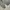 Uniform Bridge Streetwear Jumper Pria gray photo 4