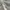 Uniform Bridge Streetwear Jumper Pria gray photo 5
