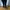 H&M Streetwear Skinny Jeans Wanita Navy Blue