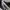 Converse Emo Casual Sneakers Pria white black photo 2