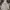 Airwalk Casual Hoody Pria white photo 1