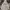 Airwalk Casual Hoody Pria White