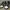 Nike Casual Sneakers Pria white black photo 1