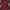 Champion Casual Hoody Pria Burgundy