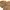 Uniqlo Minimalist Casual Hoody Pria tan brown photo 2