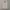 Polo Ralph Lauren Streetwear Casual Fleece Pria Cream
