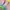 Casual T-shirt Pria multicolor photo 2