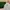 Longchamp Vintage Luxury Crossbody Bag Wanita tan photo 2
