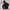 The North Face Gorpcore Track jacket Pria black photo 7