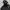 The North Face Gorpcore Track Jacket Pria Black
