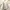American Eagle Fairy Casual Sweater Wanita gray photo 3