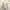 American Eagle Fairy Casual Sweater Wanita gray photo 2