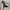 Steve Madden Luxury Casual Heels Wanita black photo 5