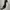 Steve Madden Luxury Casual Heels Wanita black photo 4