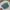 H&M Coquette Sweatshirt Wanita green photo 3