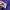Pancoat Luxury Hoody Pria purple photo 3