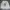 Wrangler Streetwear Minimalist Sweater Pria tan khaki photo 1