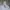 Converse Streetwear Skater Hoody Pria gray photo 1