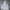 Converse Streetwear Skater Hoody Pria gray photo 5