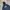 Converse Streetwear Skater Hoody Pria navy blue photo 2
