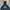 Converse Streetwear Skater Hoody Pria Navy Blue