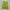 Salomon Sportswear Sneakers Pria multicolor photo 5