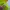 Adidas Sportswear Jersey Pria multicolor photo 4