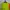 Adidas Sportswear Jersey Pria multicolor photo 2