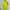 Adidas Sportswear Jersey Pria multicolor photo 1