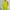 Adidas Sportswear Jersey Pria Multicolor