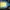 NEPA Gorpcore Windbreaker Pria blue yellow photo 4