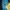 NEPA Gorpcore Windbreaker Pria blue yellow photo 5