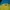 NEPA Gorpcore Windbreaker Pria blue yellow photo 2