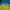 NEPA Gorpcore Windbreaker Pria Blue Yellow