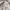 Casual Evening dress Wanita cream photo 4