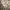 Casual Evening dress Wanita cream photo 5