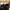 Asics Sportswear Sneakers Pria black photo 3