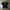 Burberry Vintage Streetwear T-shirt Pria navy photo 2