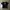 Burberry Vintage Streetwear T-shirt Pria navy photo 1