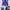 Reebok Sportswear Wanita White Blue