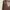 Pull & Bear Minimalist Midi Dress Wanita Multicolor
