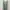 Streetwear Minimalist Summer dress Wanita green photo 1