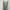 Streetwear Minimalist Summer Dress Wanita Green
