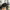 Fear of God ESSENTIALS Streetwear Sportswear Pria white black photo 1