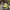 Tommy Hilfiger Sportswear Casual Hat Pria green yellow photo 1