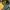 Tommy Hilfiger Sportswear Casual Hat Pria green yellow photo 6