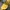 Tommy Hilfiger Sportswear Casual Hat Pria green yellow photo 5